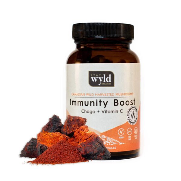 Stay Wyld Organics – Chaga Immun-Kapseln mit Vitalpilzextrakt (60 Stück)