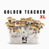 Magic Mushroom Grow Kit Golden Teacher XL by Mondo®