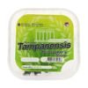 Magic Truffles Tampanensis